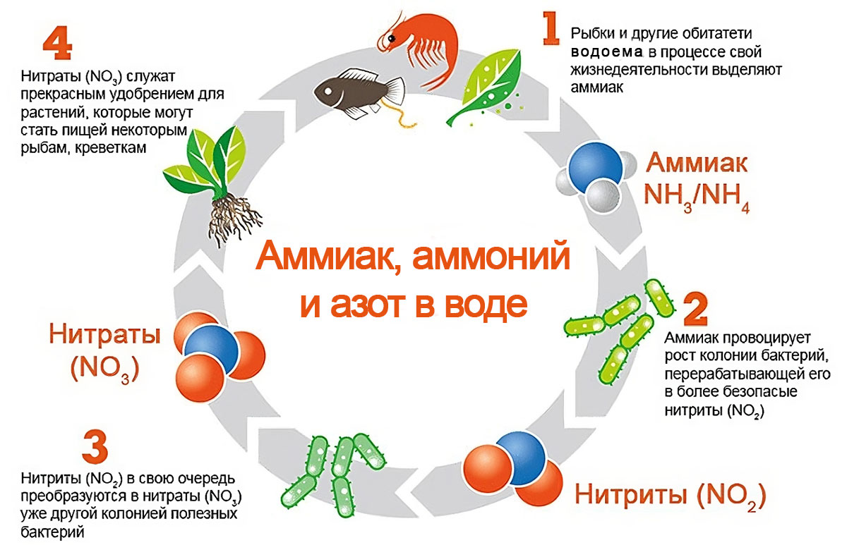 Аммонии в воде