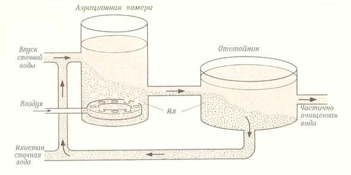 Биологическая очистка воды