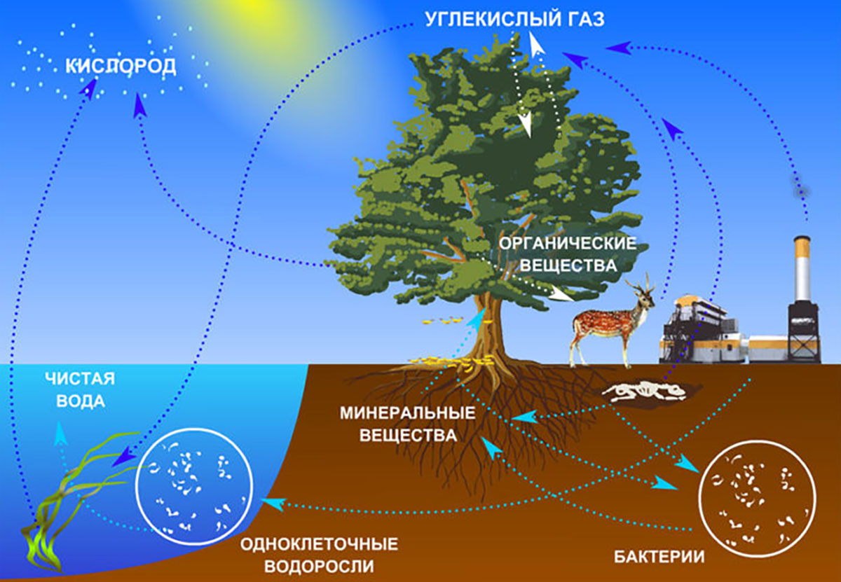 Перманганатная окисляемость воды