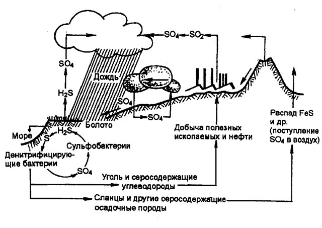 Сульфаты в воде